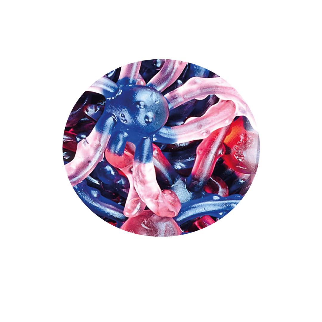 Pieuvre lisse 100G